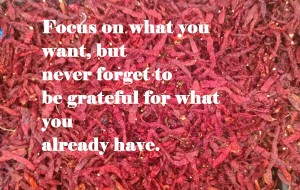 focus on what you want